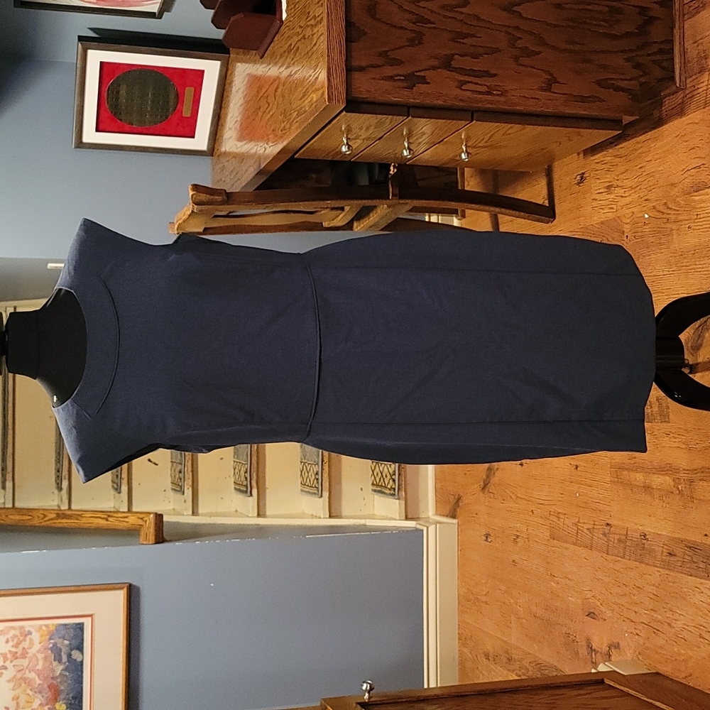 The Limited Collection Blue Sleveless Sheath Dress